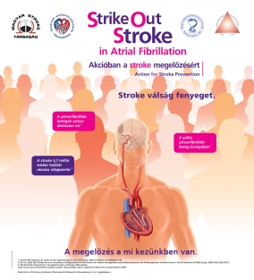Akcióban a stroke megelőzéséért