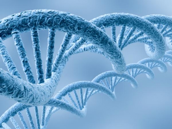 A genomika egyelőre csak mint kutatási eszköz használható